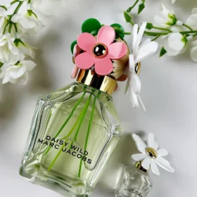 435039744 1340145840720848 8968251242247862199 n