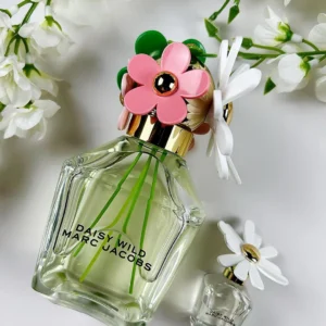 435039744 1340145840720848 8968251242247862199 n